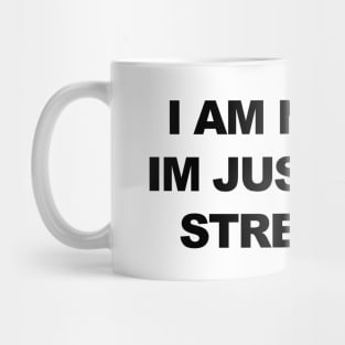 I am not fat, im just in 4:3 stretched Mug